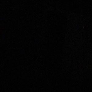 Meet your Posher, Corbin